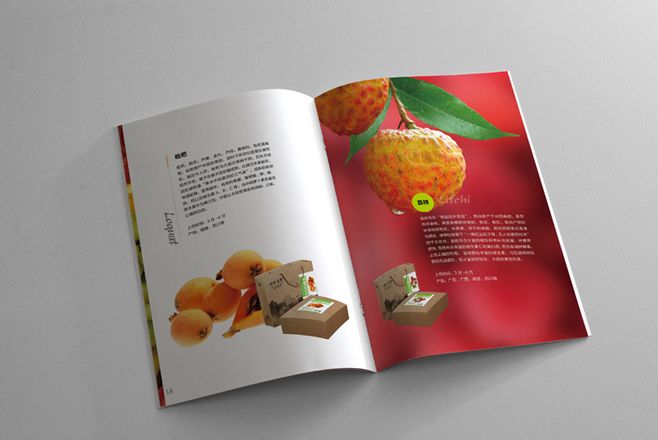 宣傳冊設(shè)計一般一頁多少錢？宣傳冊的特點有哪些？