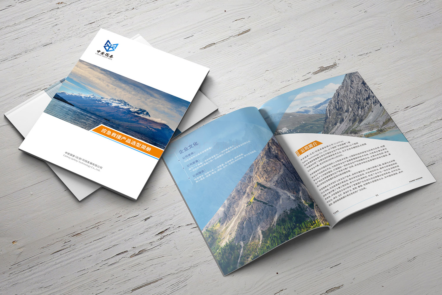 企業(yè)宣傳冊(cè)設(shè)計(jì)公司 企業(yè)宣傳冊(cè)設(shè)計(jì)公司