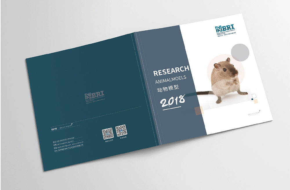 模型企業(yè)畫冊(cè)設(shè)計(jì),模型企業(yè)畫冊(cè)設(shè)計(jì)公司 模型企業(yè)畫冊(cè)設(shè)計(jì),模型企業(yè)畫冊(cè)設(shè)計(jì)公司