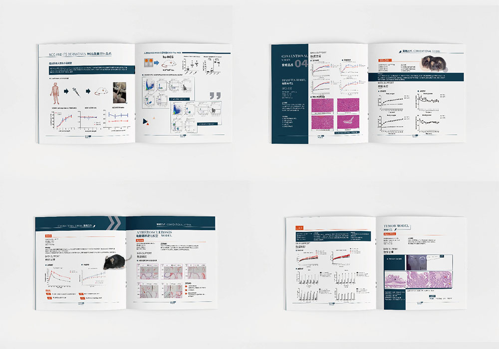 模型企業(yè)畫冊(cè)設(shè)計(jì),模型企業(yè)畫冊(cè)設(shè)計(jì)公司 模型企業(yè)畫冊(cè)設(shè)計(jì),模型企業(yè)畫冊(cè)設(shè)計(jì)公司