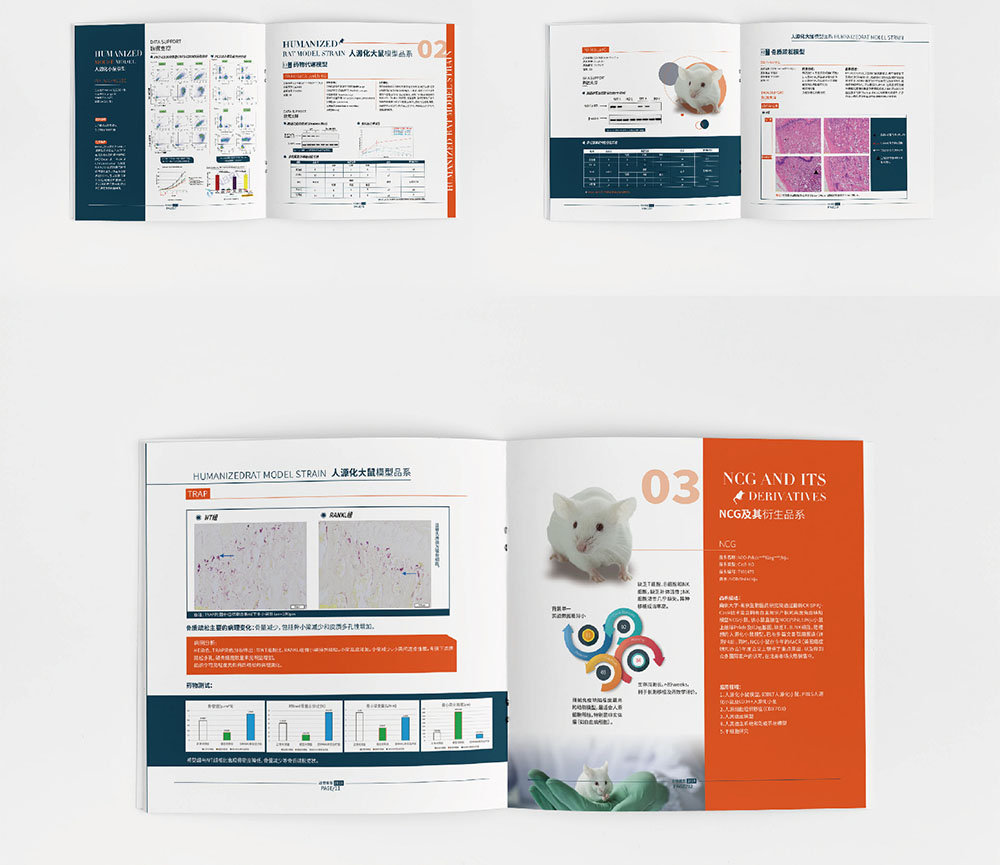 模型企業(yè)畫冊(cè)設(shè)計(jì),模型企業(yè)畫冊(cè)設(shè)計(jì)公司 模型企業(yè)畫冊(cè)設(shè)計(jì),模型企業(yè)畫冊(cè)設(shè)計(jì)公司