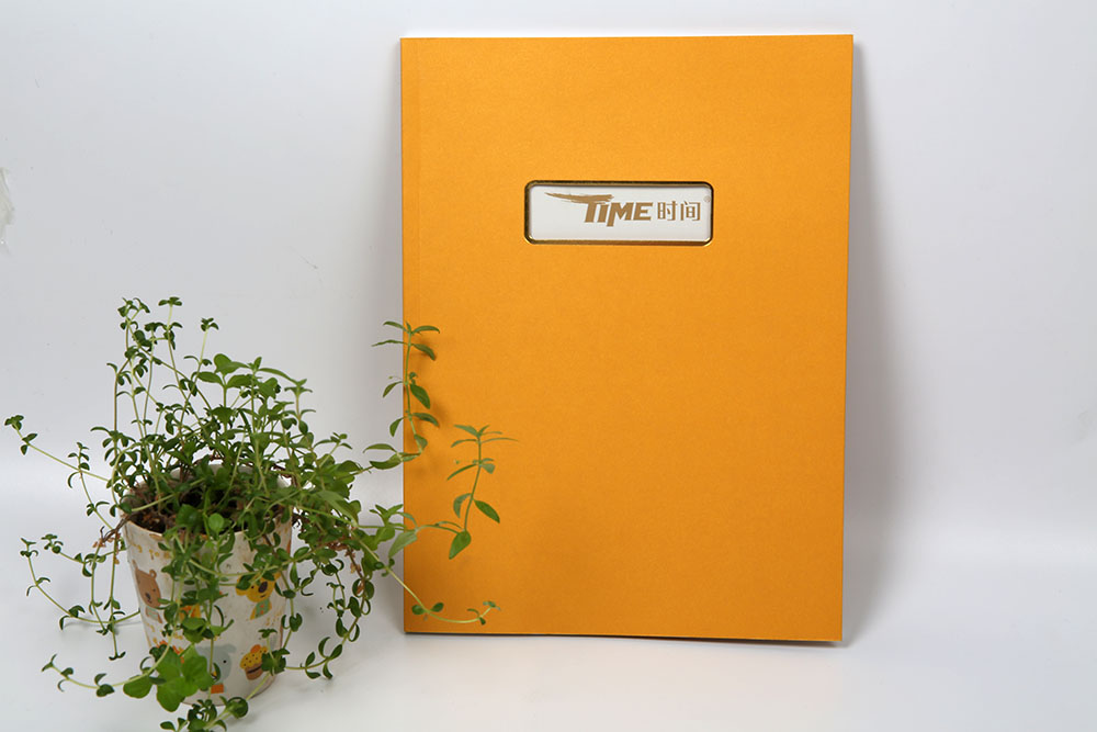 高端商務(wù)畫冊印刷,高端商務(wù)畫冊印刷公司 高端商務(wù)畫冊印刷,高端商務(wù)畫冊印刷公司