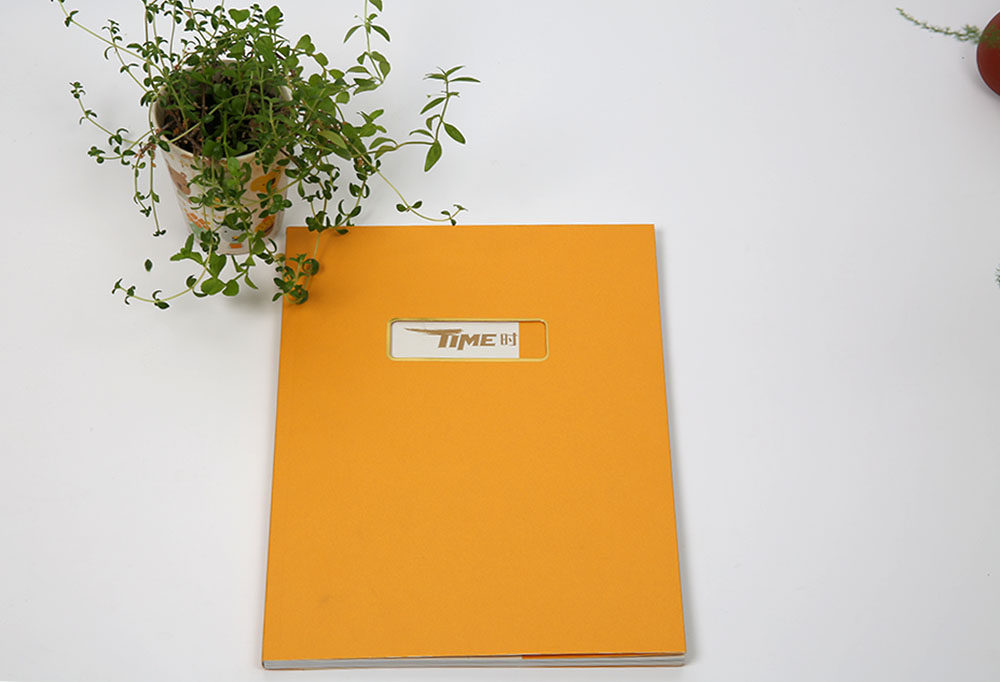 高端商務(wù)畫冊印刷,高端商務(wù)畫冊印刷公司 高端商務(wù)畫冊印刷,高端商務(wù)畫冊印刷公司