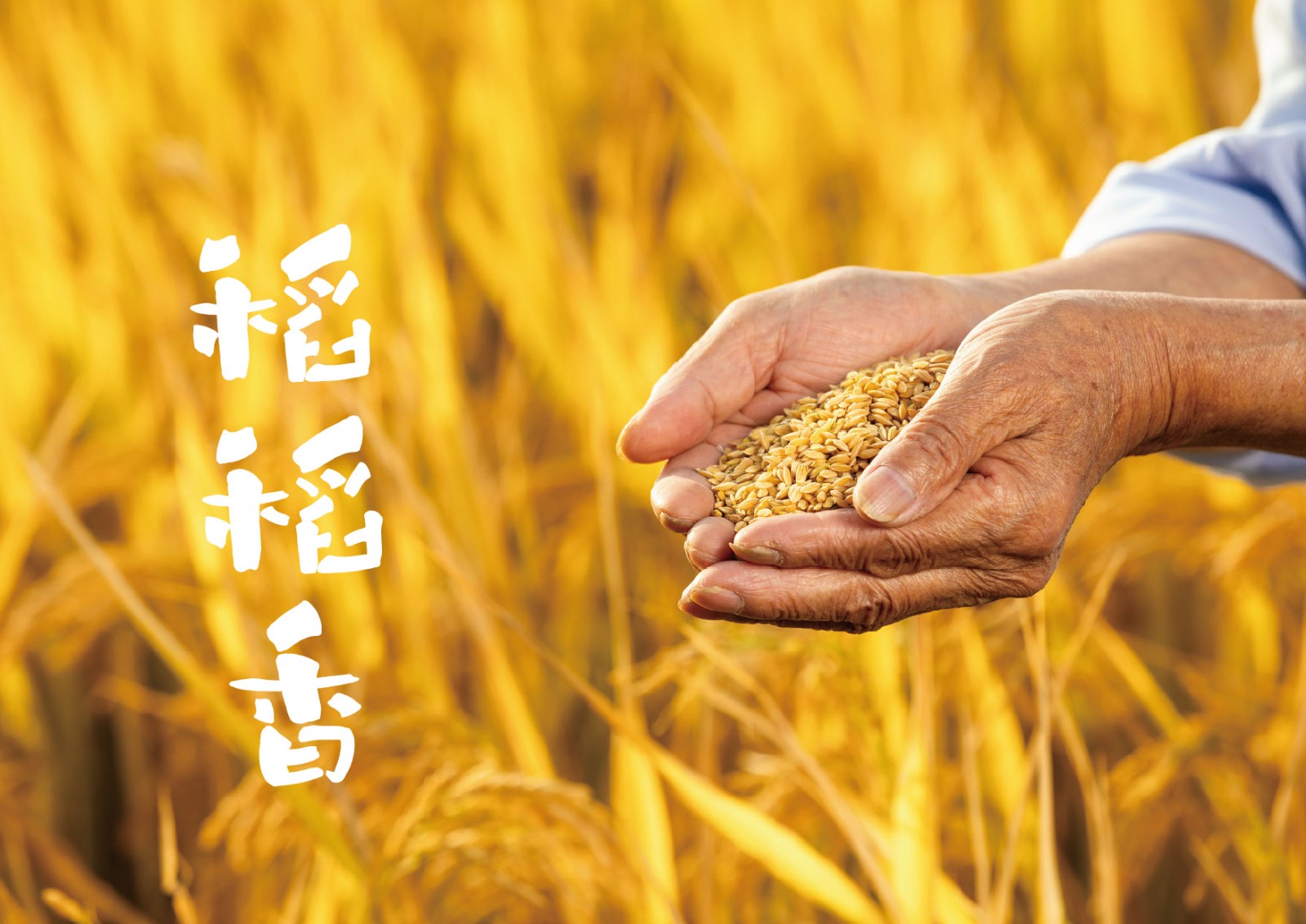 大米VI設(shè)計,農(nóng)產(chǎn)品VI設(shè)計,食品行業(yè)VI設(shè)計公司 大米VI設(shè)計,農(nóng)產(chǎn)品VI設(shè)計,食品行業(yè)VI設(shè)計公司