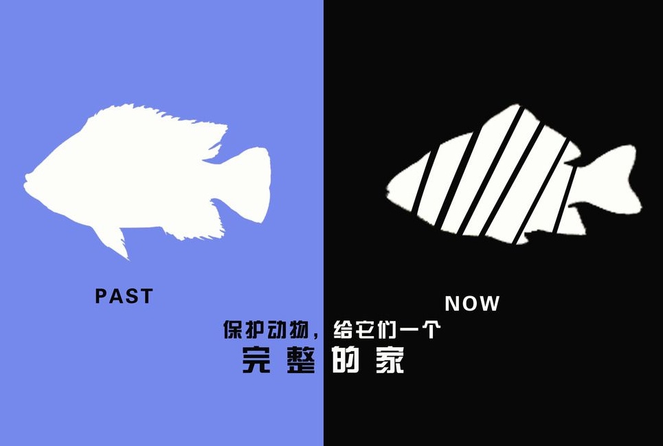 廣告設(shè)計(jì)制作有哪些要求？有哪些注意事項(xiàng)？