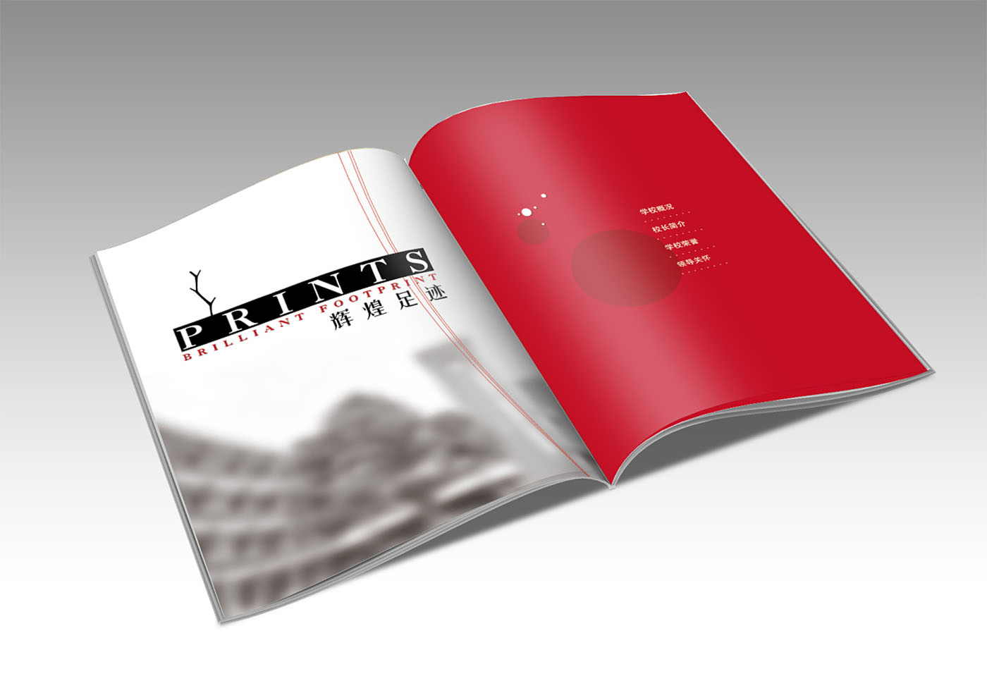 學(xué)校周年紀(jì)念冊(cè)設(shè)計(jì)-企業(yè)紀(jì)念畫冊(cè)設(shè)計(jì)公司 學(xué)校周年紀(jì)念冊(cè)設(shè)計(jì)-企業(yè)紀(jì)念畫冊(cè)設(shè)計(jì)公司