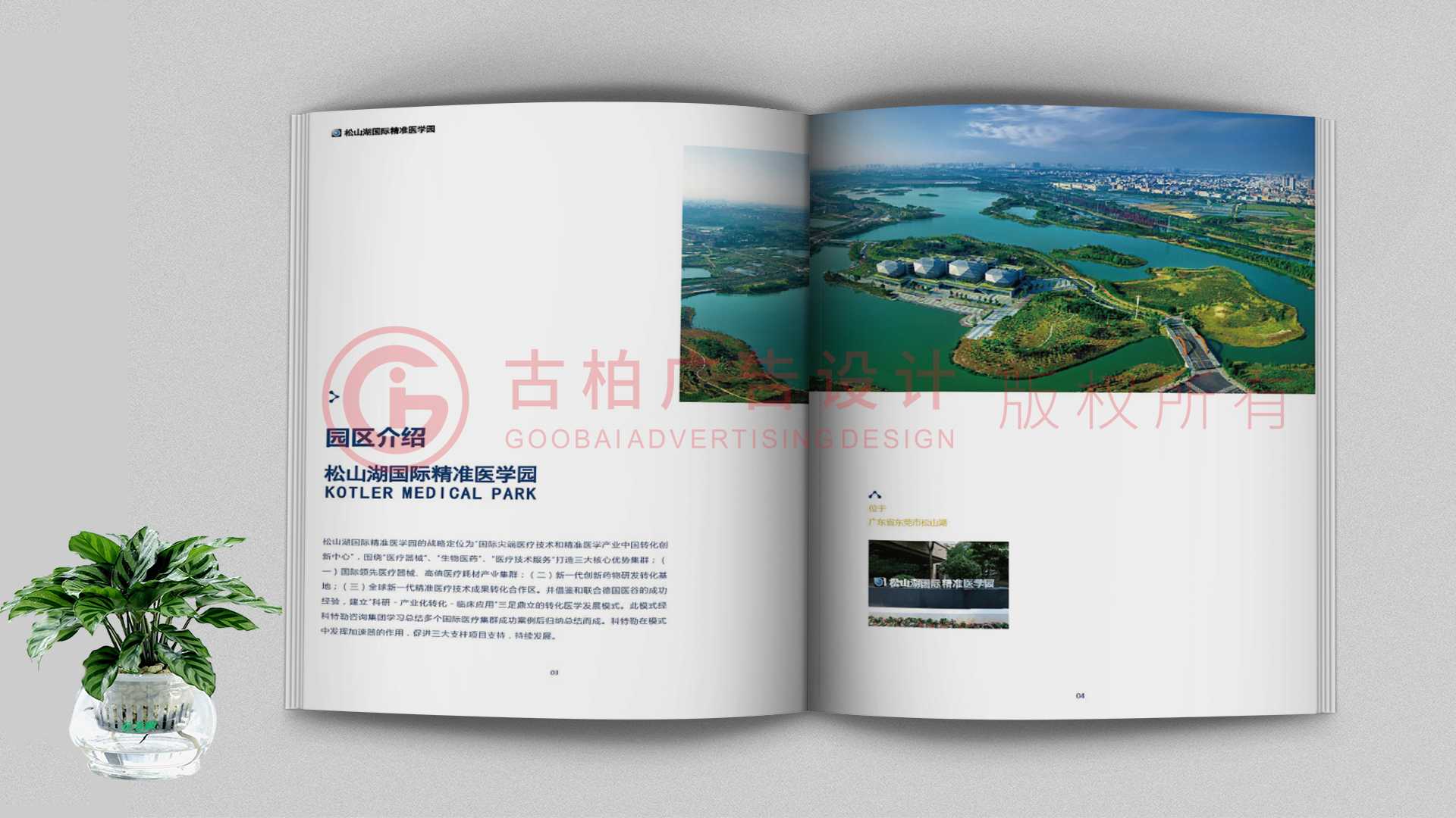 一本聚會紀念冊該如何通過排版來提升整體的美觀性？