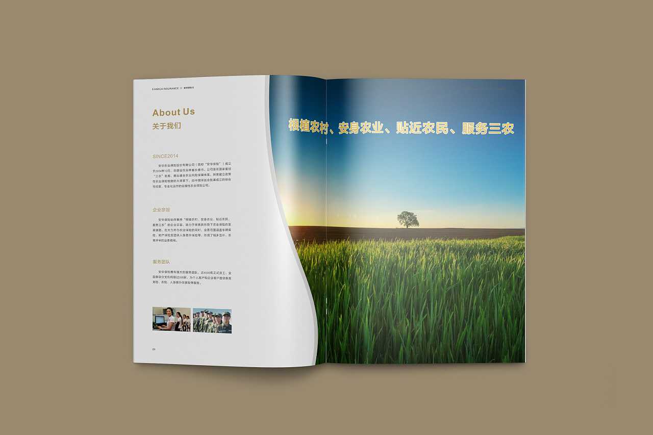 成都企業(yè)為什么要選擇高端宣傳冊設計公司呢？