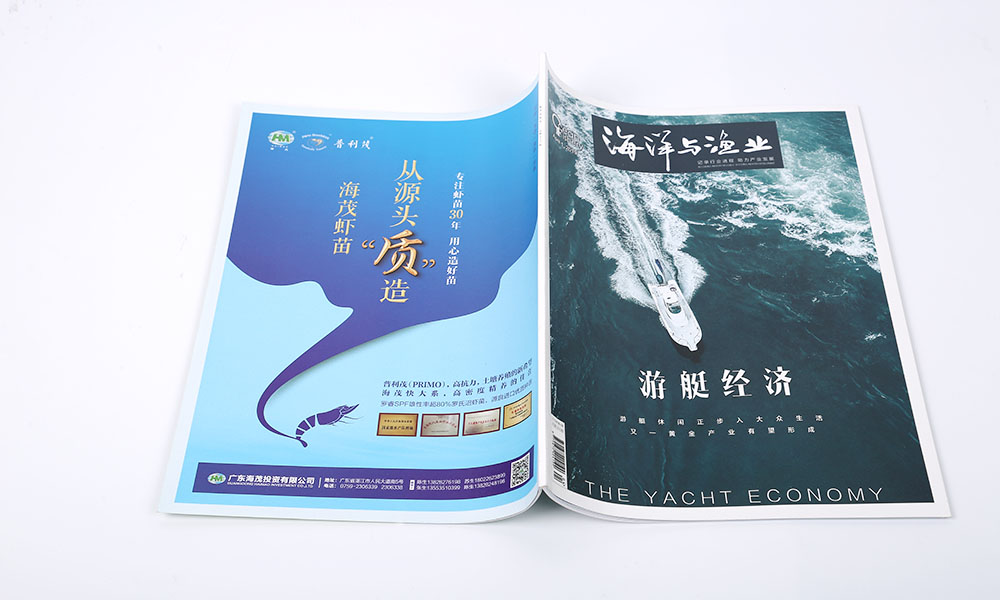 做宣傳冊(cè)設(shè)計(jì)多大美觀？