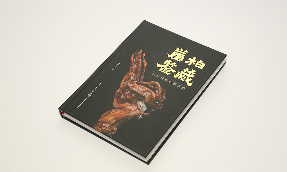 聚會(huì)宣傳冊(cè)怎么多大可以？